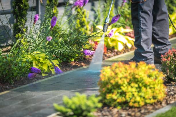 Best Gutter Cleaning  in Jasonville, IN