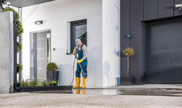 Best Roof Washing  in Jasonville, IN